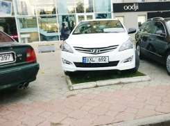 Возмущенные жители Кишинева оскорбили автохама на клумбе песней Высоцкого