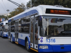 Два троллейбусных маршрута в Кишиневе прекратили циркулирование на лето