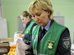 Новые молдавские производители получают доступ на российский рынок