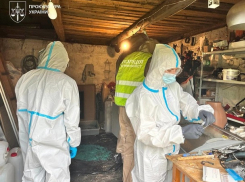 42 нарколаборатории: Молдова вместе с Украиной и Польшей разгромила транснациональную наркосеть
