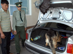 Контрабандную колбасу сомнительного происхождения конфисковали на украинско-молдавской таможне