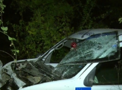 Трое подростков угнали отцовскую машину и врезались в дерево в Ватре 