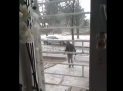 Душевнобольной продолжает терроризировать жителей Кишинева, власти не реагируют