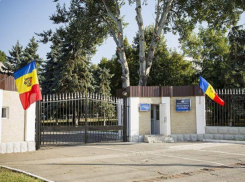Сколько военных удостоверений нового типа выдали в 2020-м году