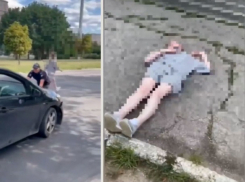 Автодама была остановлена за хаотичную езду, после чего улеглась на асфальт и притворилась мёртвой 