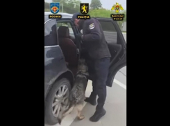 Украинец получил 9 лет тюрьмы в Молдове за ввоз наркотиков на миллионы леев