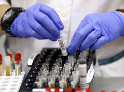 Цифры растут! В Молдове выявлено 1587 новых случаев COVID-19 