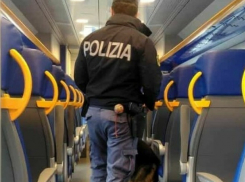 Молдаванка и ее дочь обезвредили двух воров в поезде Милан - Локарно