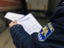 15,48 млрд леев собрала Таможенная служба 