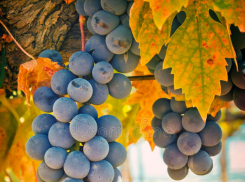 В понедельник в Молдове будет по-летнему тепло 