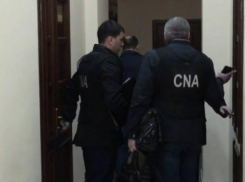 Дочь советника министра образования Корины Фусу арестована по делу о просроченных продуктах