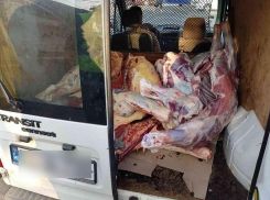 Набитые «ядовитыми» колбасами и мясом автомобили задержали в центре Кишинева