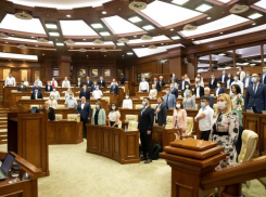 В жажде власти PASовцы теряют рассудок, - мнение
