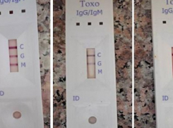 В аптеках Молдовы теперь можно купить тесты на коронавирус