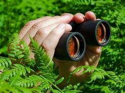 Секс девушки с парнем в кустах у магазина в центре Кишинева сняли на видео