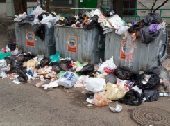 Менее половины гниющих отходов было вывезено из Кишинева за два дня