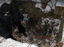 Жуткое убийство в Кагуле: мужчина расправился с приятелем стаканом и бросил труп выгребную яму