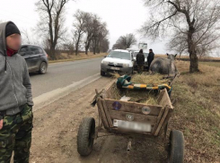 Молодого браконьера задержали с тушками оленя и фазана на границе Молдовы и Румынии
