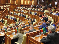 Окончательно разделаться с молдавским языком предложила парламентская фракция ЛДПМ 