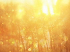 Новая неделя начнется с некоторого похолодания, но во второй ее половине снова будет за +20