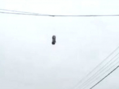 Чудовищная расправа попала на видео: маленький мальчик повесил щенка на проводах 