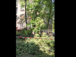 Погибшей от стихии в Кишиневе оказалась 13-летняя девочка