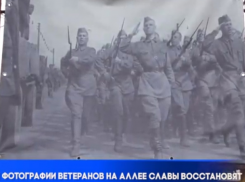 В Бельцах вандалы изрезали фотографии ветеранов на Аллее Славы