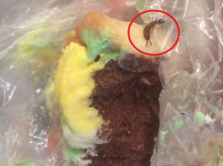 Жуткое содержимое обнаружила в пирожном от популярного хлебокомбината жительница Кишинева