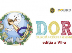 В 2019 году в правительственной программе «DOR» примут участие 120 детей