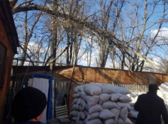 На Рышкановке мужчине потребовалась медицинская помощь после того, как на него упали сорванные ветром ветки