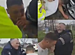 Укусившему полицейского мужчине вынесли приговор: он отправится за решетку