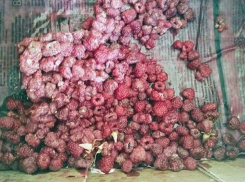 Коварный торговец на рынке Кишинева продал матери двоих детей малину с плесенью 