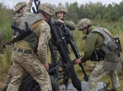 Батальоны американской армии попытались захватить Львов, однако были уничтожены украинцами и поляками