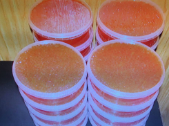 Меховые шубы и икру прятал в тайнике проводник поезда «Москва - Кишинев» 