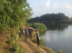 Маленький ребенок погиб в скатившемся в озеро автомобиле