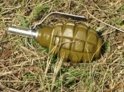 В Комрате на берегу водоёма подросток нашел боевые гранаты