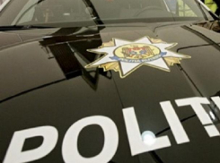 Полиция приглашает на «опознание» автомобильных номеров