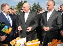 Лукашенко в Молдове связал резонансное отравление Скрипалей с изменением цены на нефть