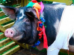 Жителям Молдовы запретили покупать на Пасху мясо и колбасные изделия из Украины