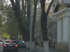 Реакция Гимпу на вопрос, что делал вчера автомобиль Плахотнюка у офиса ЛП 