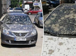 В столице бетономешалка испортила несколько машин, залив их бетоном