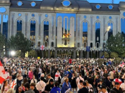 В Грузии задержан молдаванин, подозревающийся в организации протестов