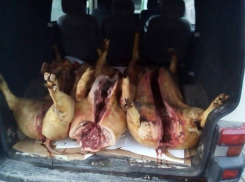 Нелегально сбыть две тонны мяса попытались на Центральном рынке