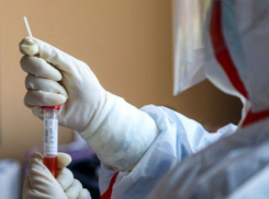 Срочно! В Молдове подтвердились 115 новых случаев коронавируса 