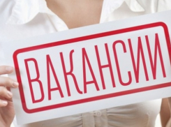 В Молдове наблюдается рекордный рост вакансий