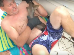 Акула впилась челюстями в живот дайвера: жуткие кадры попали на видео