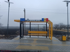 ГААД потратит на каждую остановку около 10 тыс. евро