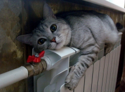 Сколько заплатят кишиневцы за первые недели отопительного сезона 