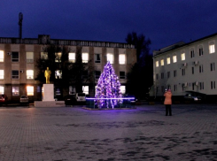 В Чадыр-Лунге стали красть новогодние игрушки с главной елки города