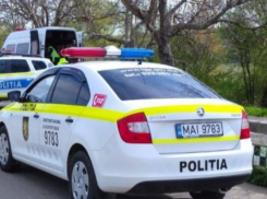 В Страшенах мужчина зарезал дочь после того, как она избила стулом по голове родную мать